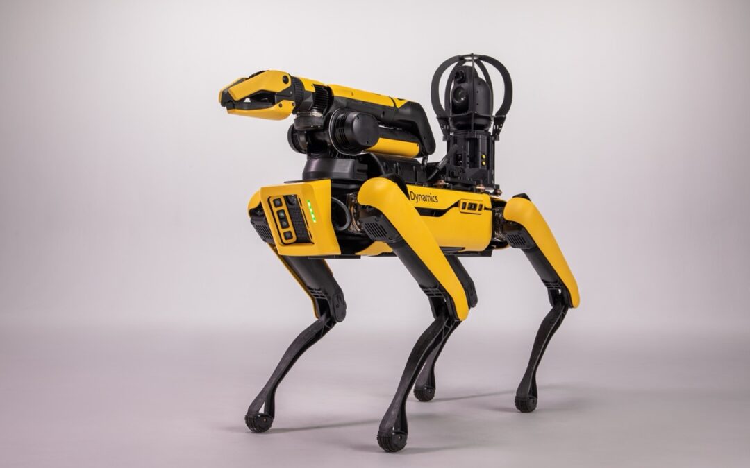 K9 Police Robots: An Analysis of Current Canine Robot Models Through the Lens of Legitimate Citizen-Robot-State Interaction | Vol. 30, No. 1